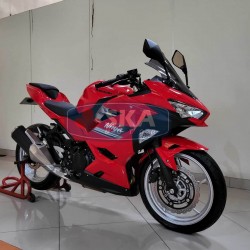Kawasaki Ninja 250 FI Tahun 2024